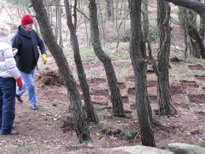 Gun, Wendela, Ramberget