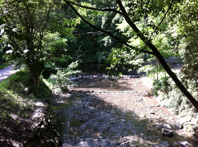 Büköspatak a Szegedi utca végén, 2016 nyara